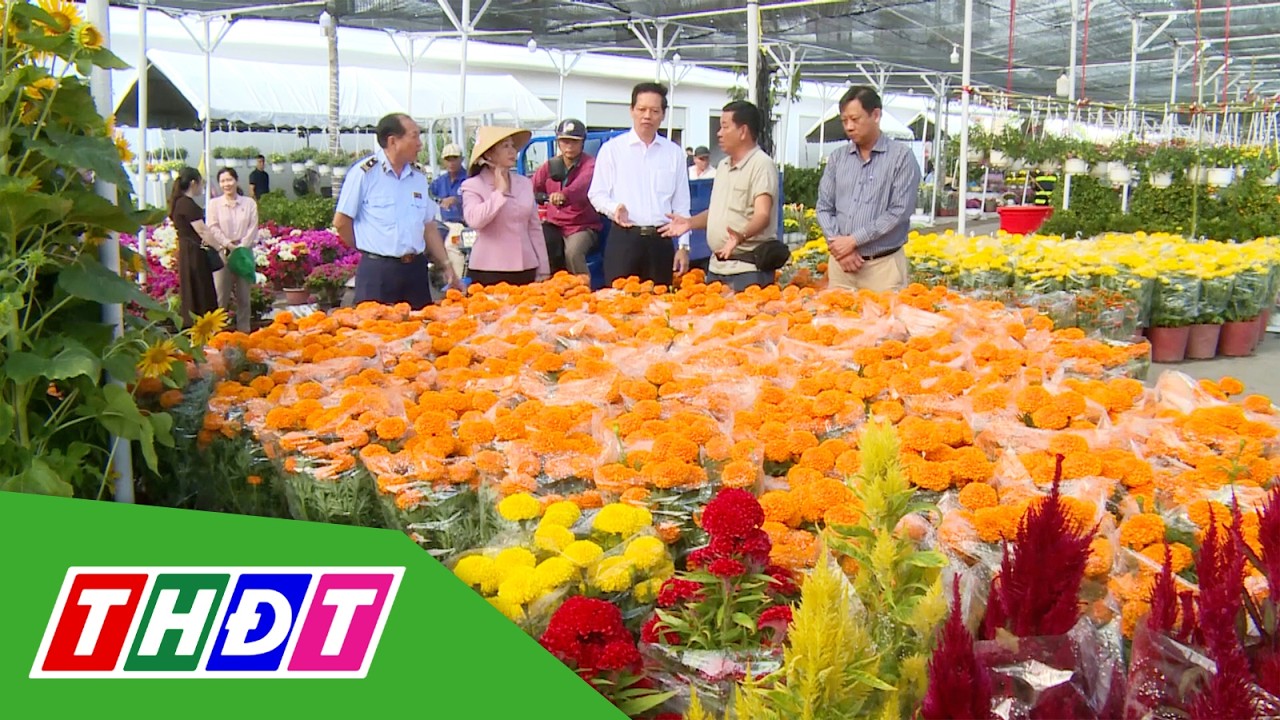 Đồng Tháp: Đảm bảo nguồn cung hàng hóa phục vụ thị trường Tết | THDT