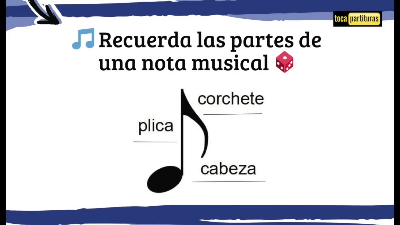 Lengua Musical: Partes de una Nota Musical Cabeza, Plica y Corchete