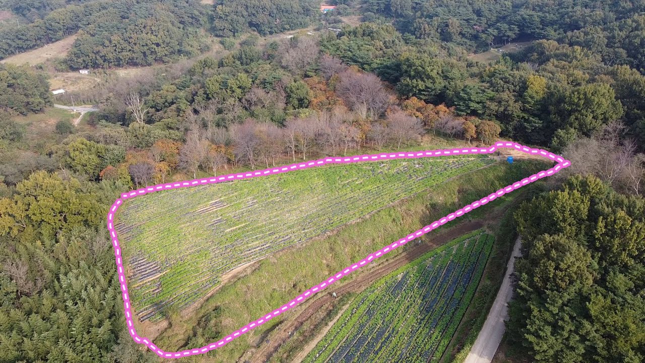 당진시내 넓은 임야 (현재 무우밭) 싸게 매매