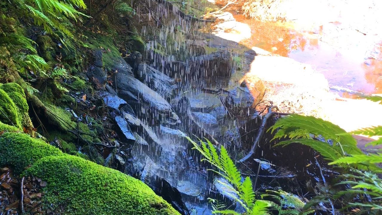 Sublime Hidden Waterfall | 1 hour of Nature Sounds