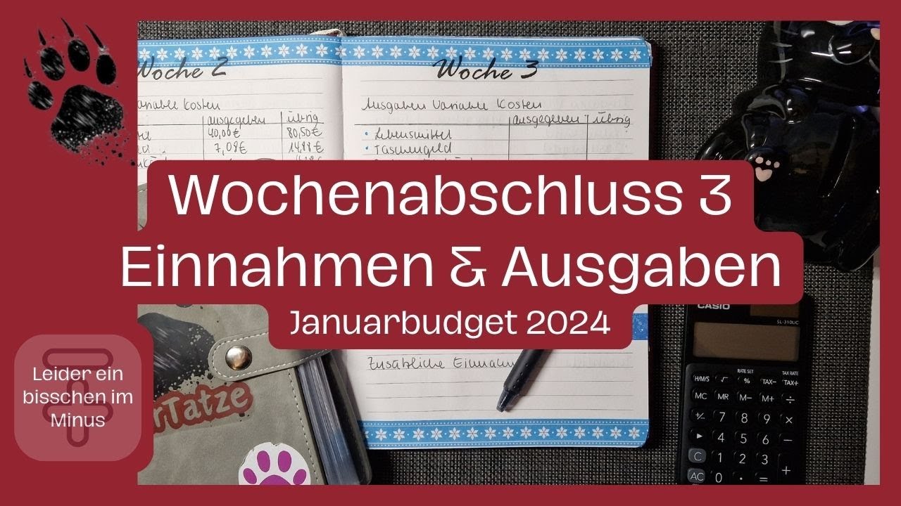 Wochenabschluss 3 Januarbudget 😮 Dreiecksbetrug & Luxuseskalation 😨 | Sparen | Umschlagmethode