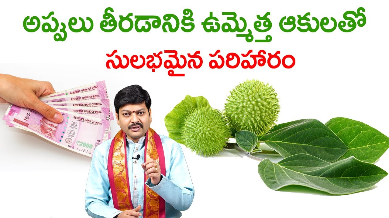 అప్పులు తీరడానికి ఉమ్మెత్త ఆకులతో సులభమైన పరిహారం || పరిహారం || By Shri Gaddamanugu Tejaswi Sharma