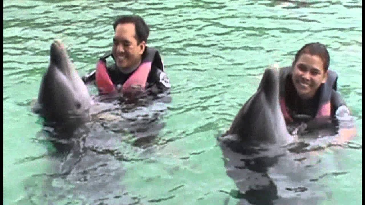 Dolphin Swim with Foot Push at Dolphin Encounters Blue Lagoon, Bahamas