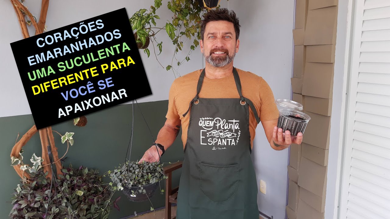 Corações Emaranhados: Uma Suculenta Diferente Para Você se Apaixonar