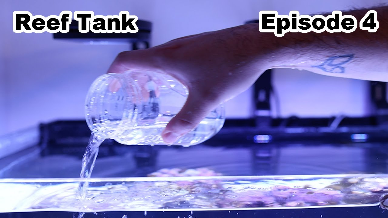 Algae Barn Copepods Unboxing Ep 4