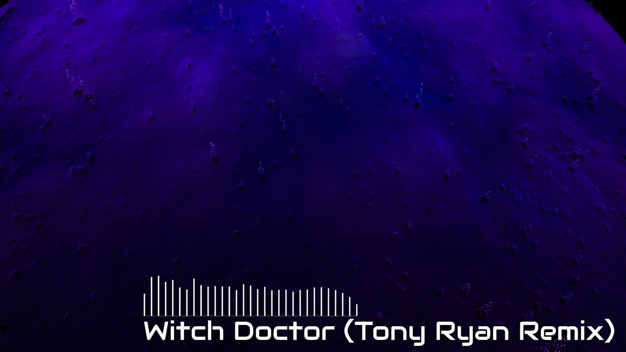 Witch Doctor (Tony Ryan Remix) - Tony Ryan