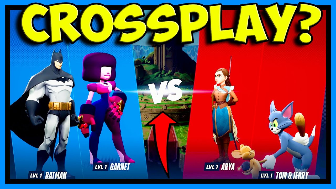 CAN YOU PLAY MULTIVERSUS CROSSPLAY ONLINE MULTIPLAYER?