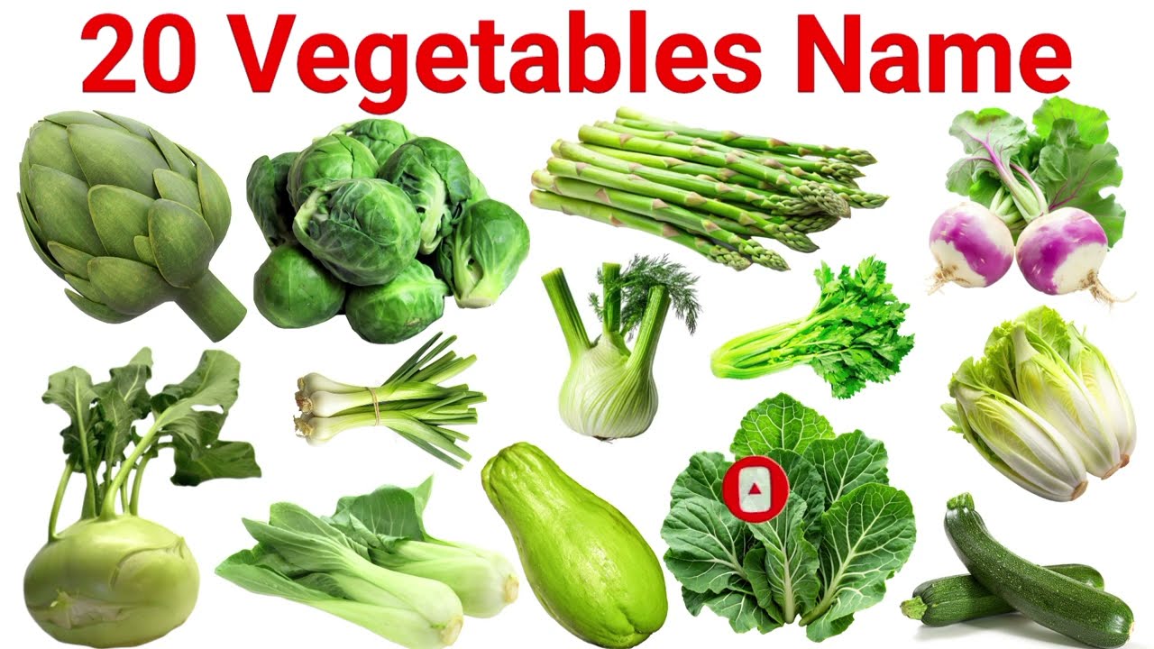 20 Vegetables Names with pictures l Sabjiyon ke naam l Green Vegetable Name in English and Hindi 