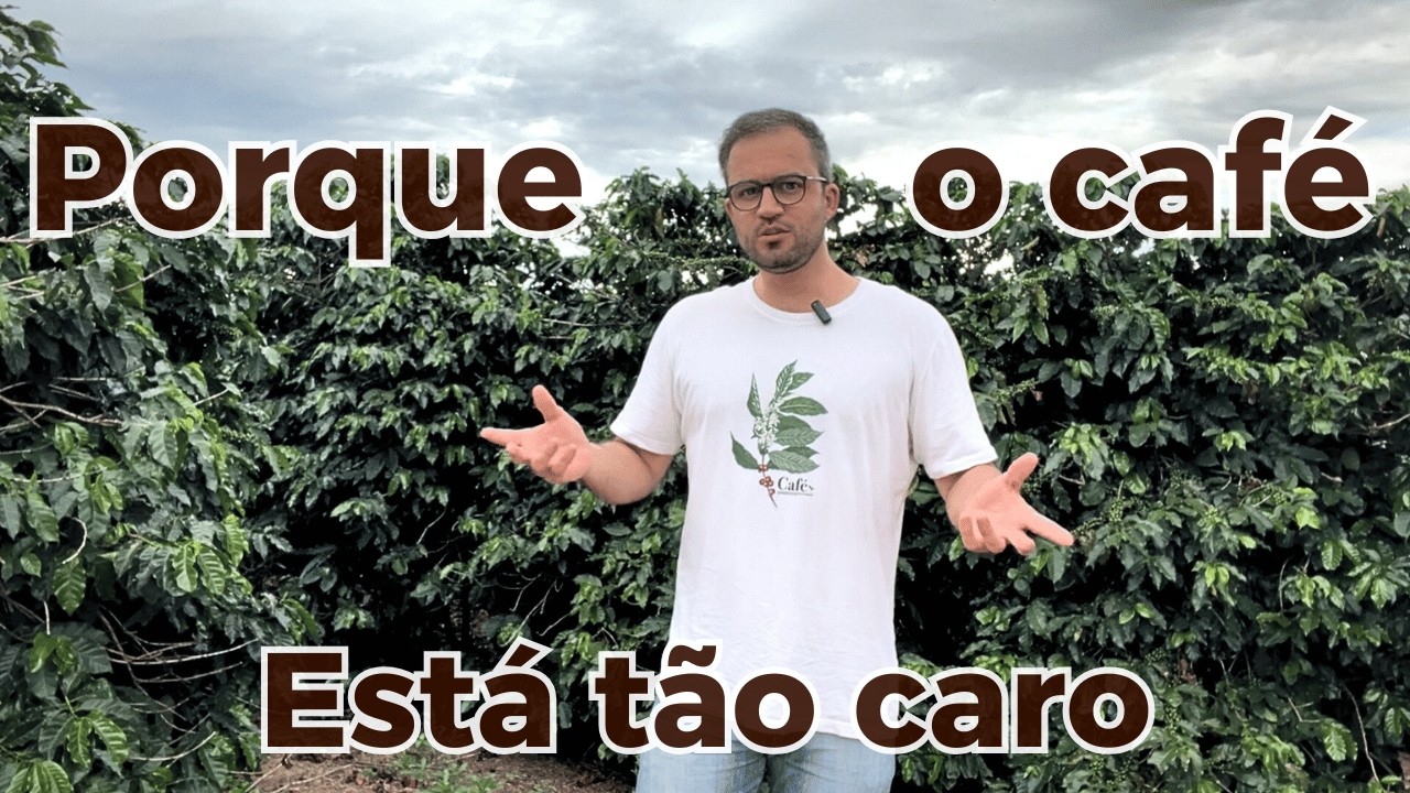 Por que o café está tão caro? O que está acontecendo e como se preparar