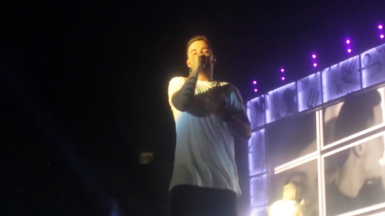 One Direction Don't Forget Where You Belong- Melbourne 15/02 (Front Row)