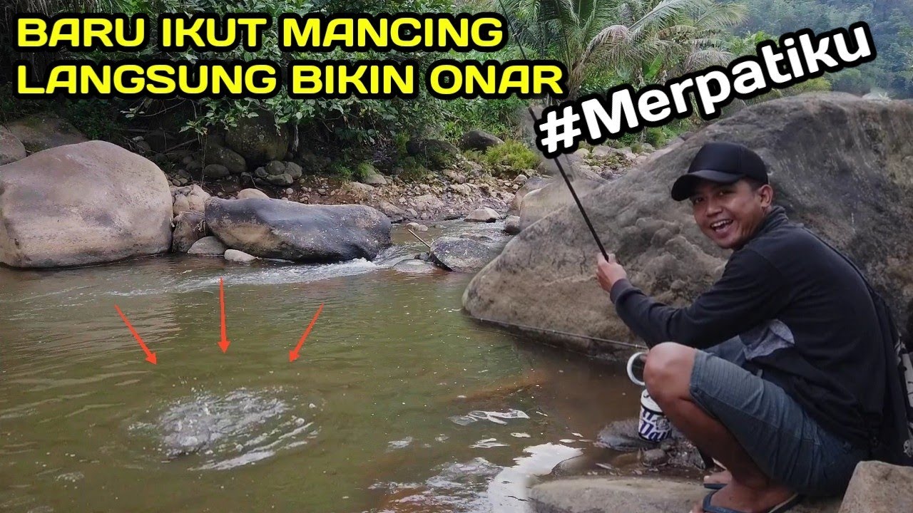 HEBOH.! Lunga Mancing VS Merpatiku