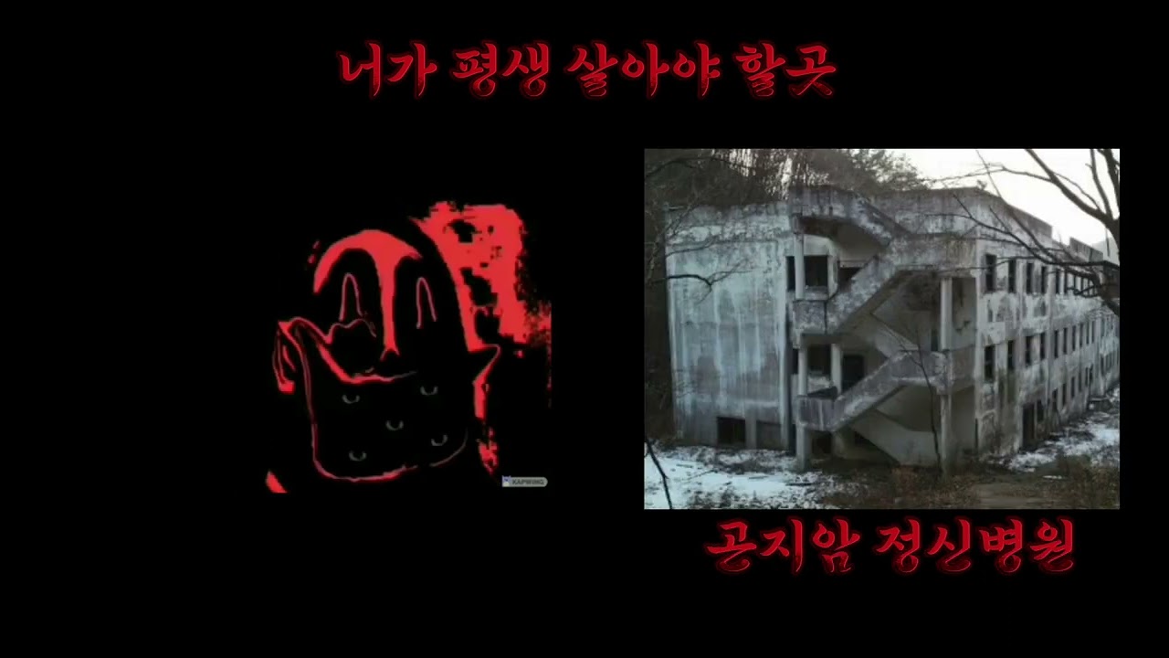 *심약자 시청주의*반응 좋아서 만든 인크레더블 밈 절망편
