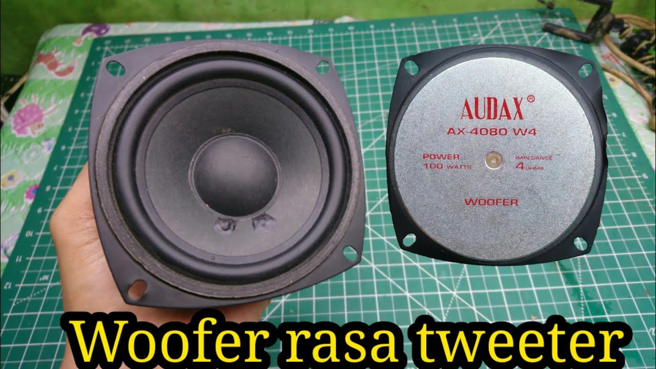 Speaker 4 inch AUDAX AX-4080W4 Woofer | UNBOXING TEST REVIEW