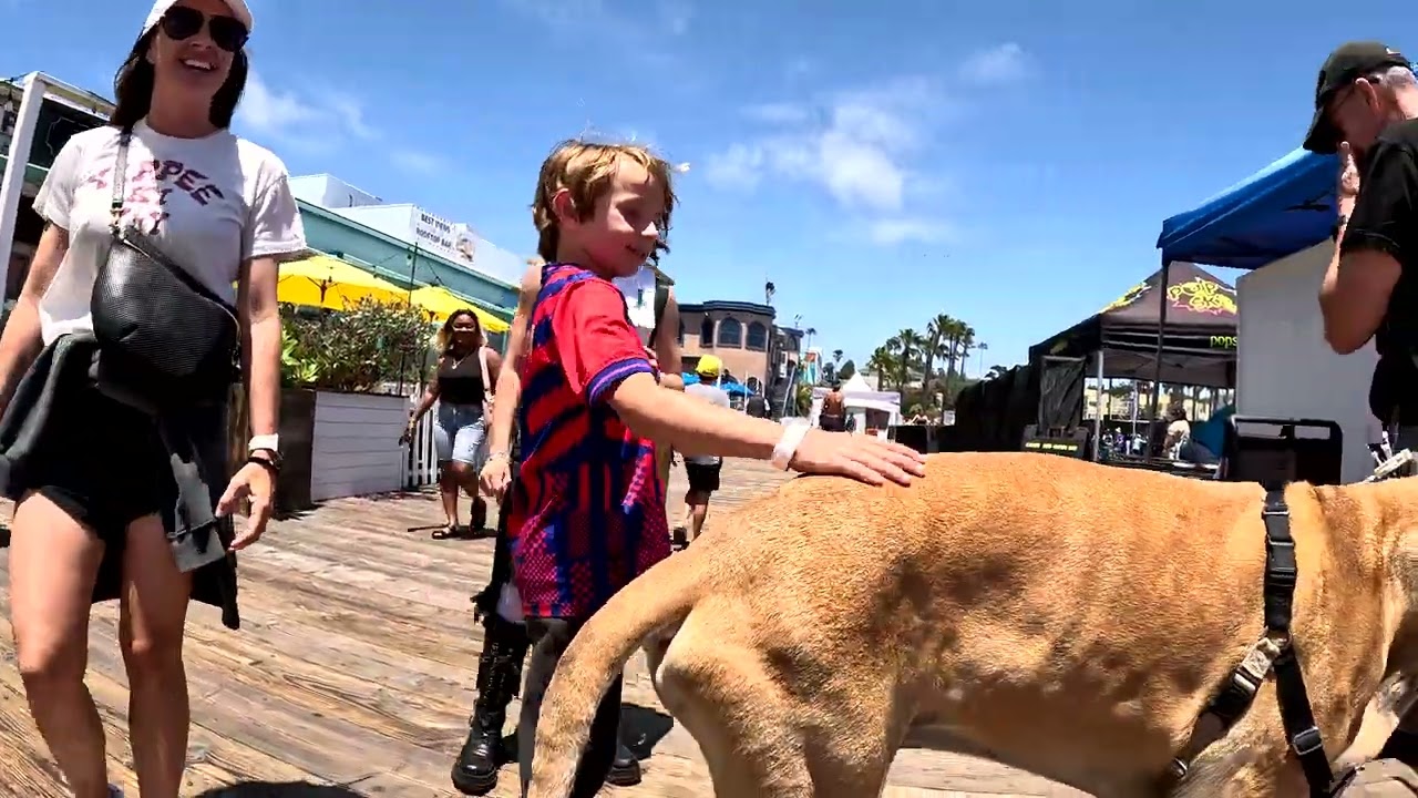 Cash 2.0 Great Dane at the Pier 360 Beach Festival 2025 on the Santa Monica Pier (4 of 6)