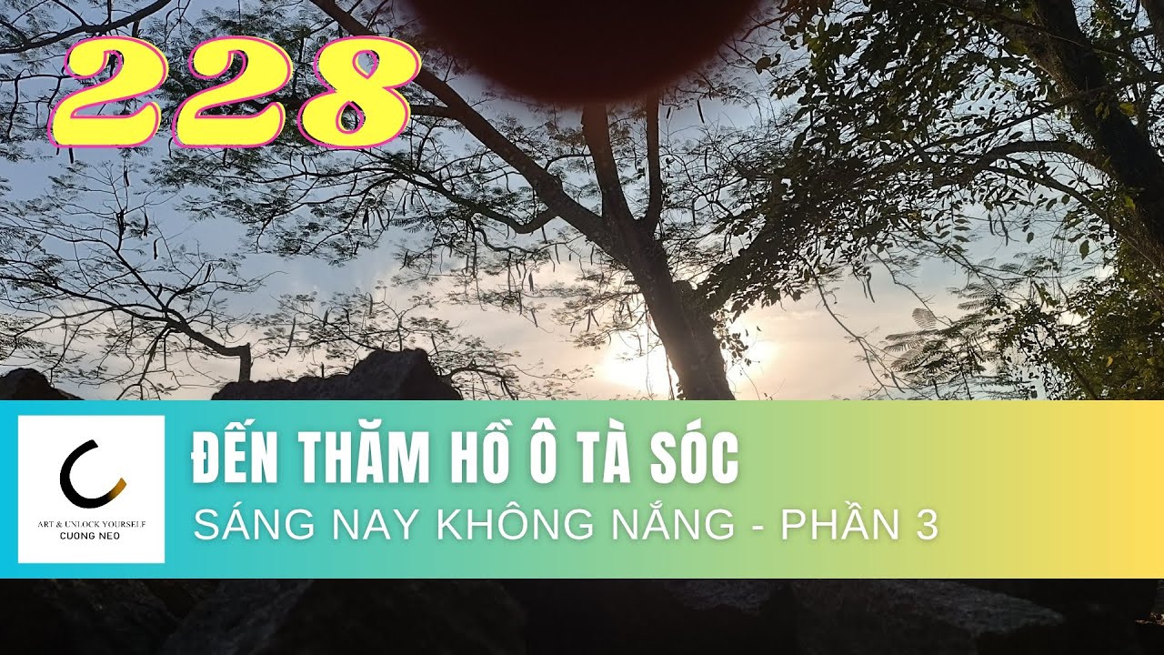 NHỮNG CÂY CỎ BÊN BỜ HỒ Ô TÀ SÓC