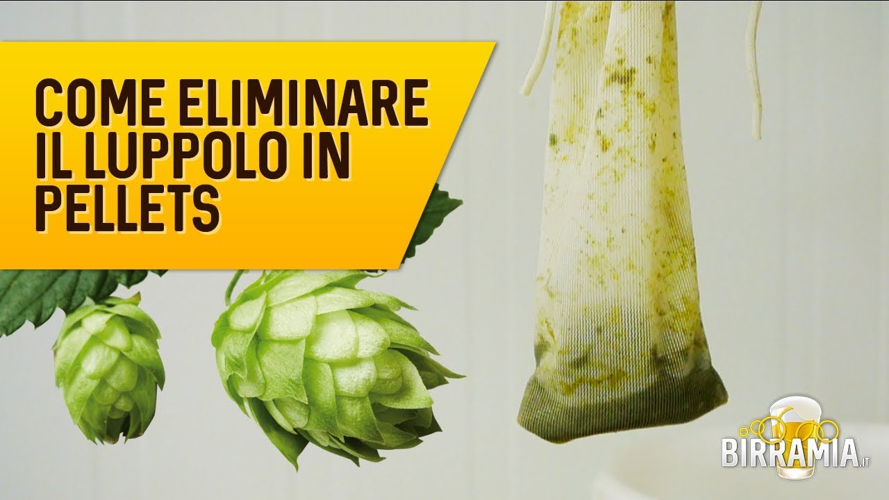 Come eliminare il luppolo in pellets 🍺