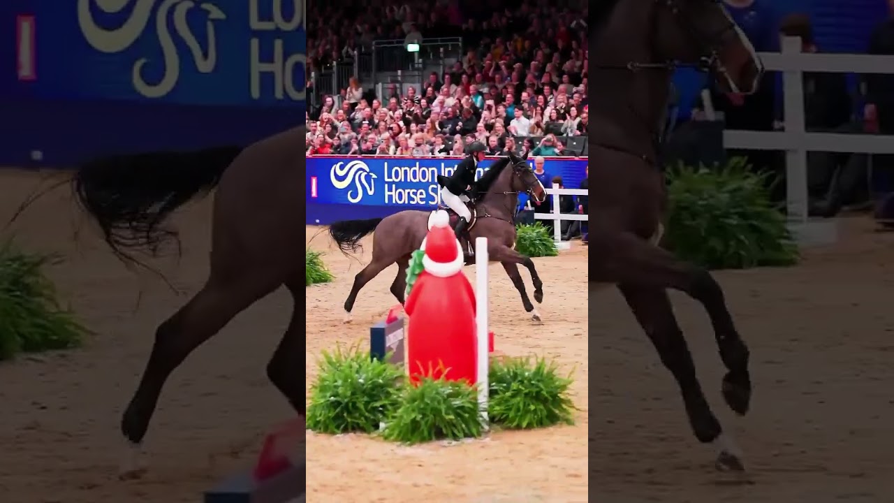 🏇//Que saltos perfeito!! \\🏇 #cavalo #hipismo #showjumping #crosscountry #dressage #naoflopa
