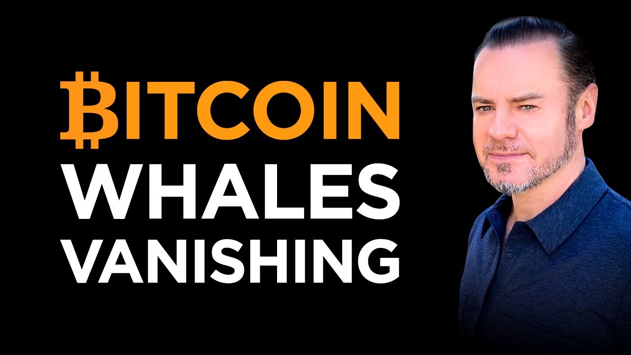 🚨 Переворот в распределении богатства с помощью BTC: Исчезновение крупных игроков + захват власти...