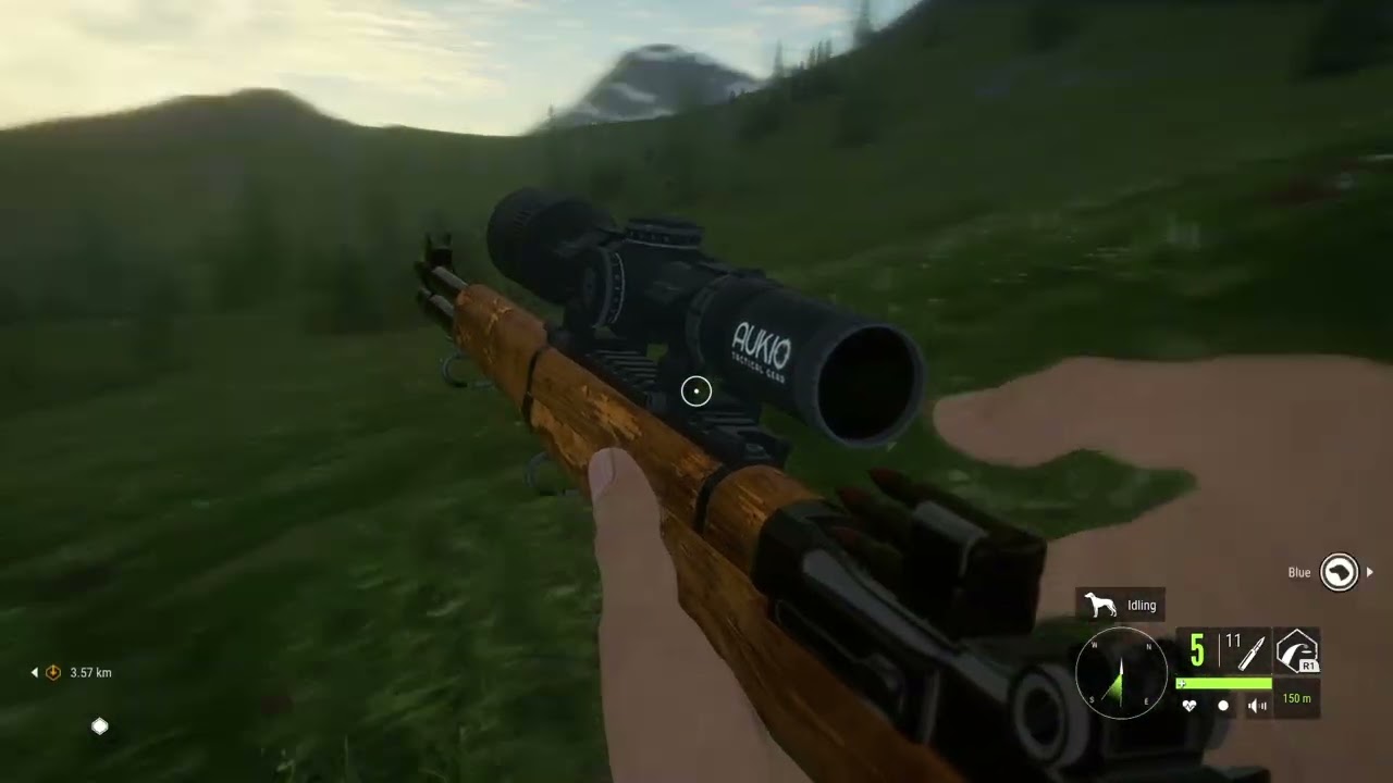 Playing hunter call of the wild 