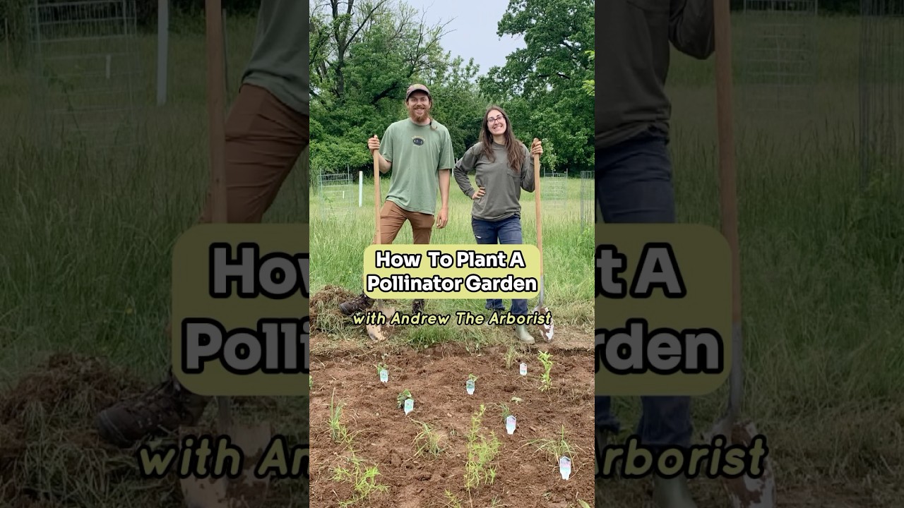 How To Install A Pollinator Garden 🌼