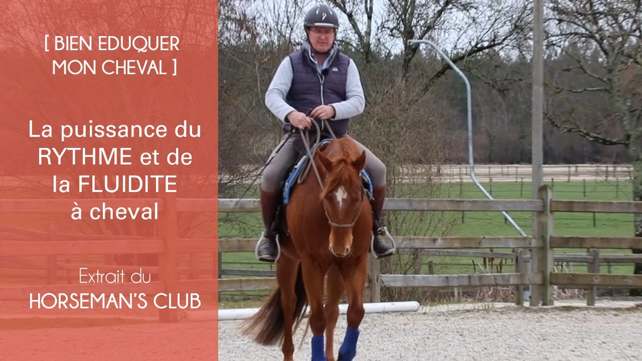 [BIEN EDUQUER] La puissance du rythme et de la fluidité à cheval