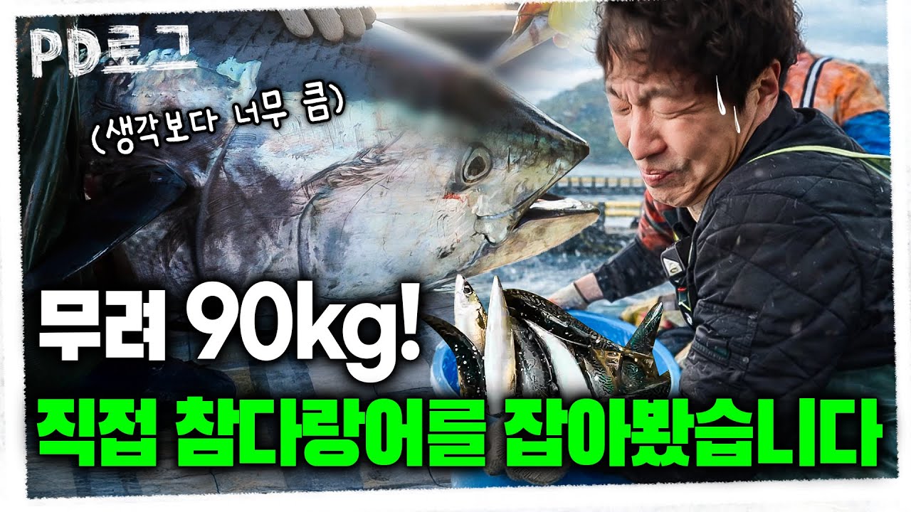 무려 90kg! 직접 참다랑어를 잡아봤습니다 PD로그 | 83화 K-참다랑어를 꿈꾸다 1/2