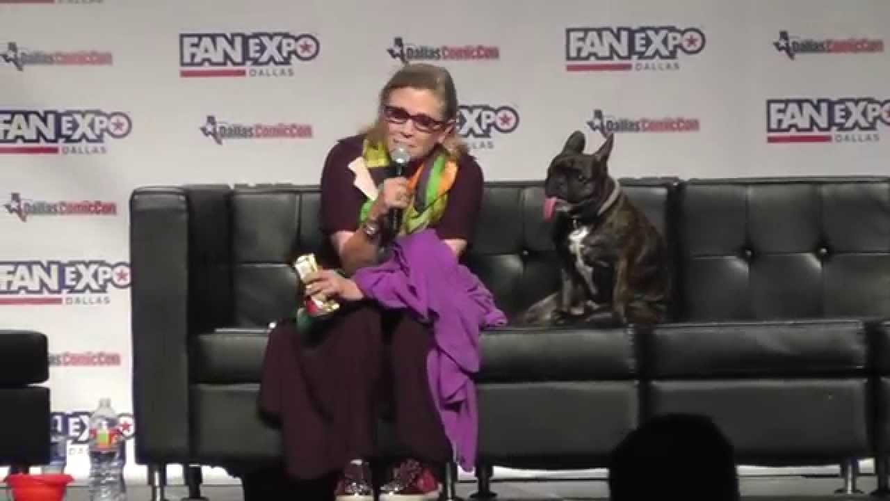 Dallas Comic Con - May 2015 - Carrie Fisher
