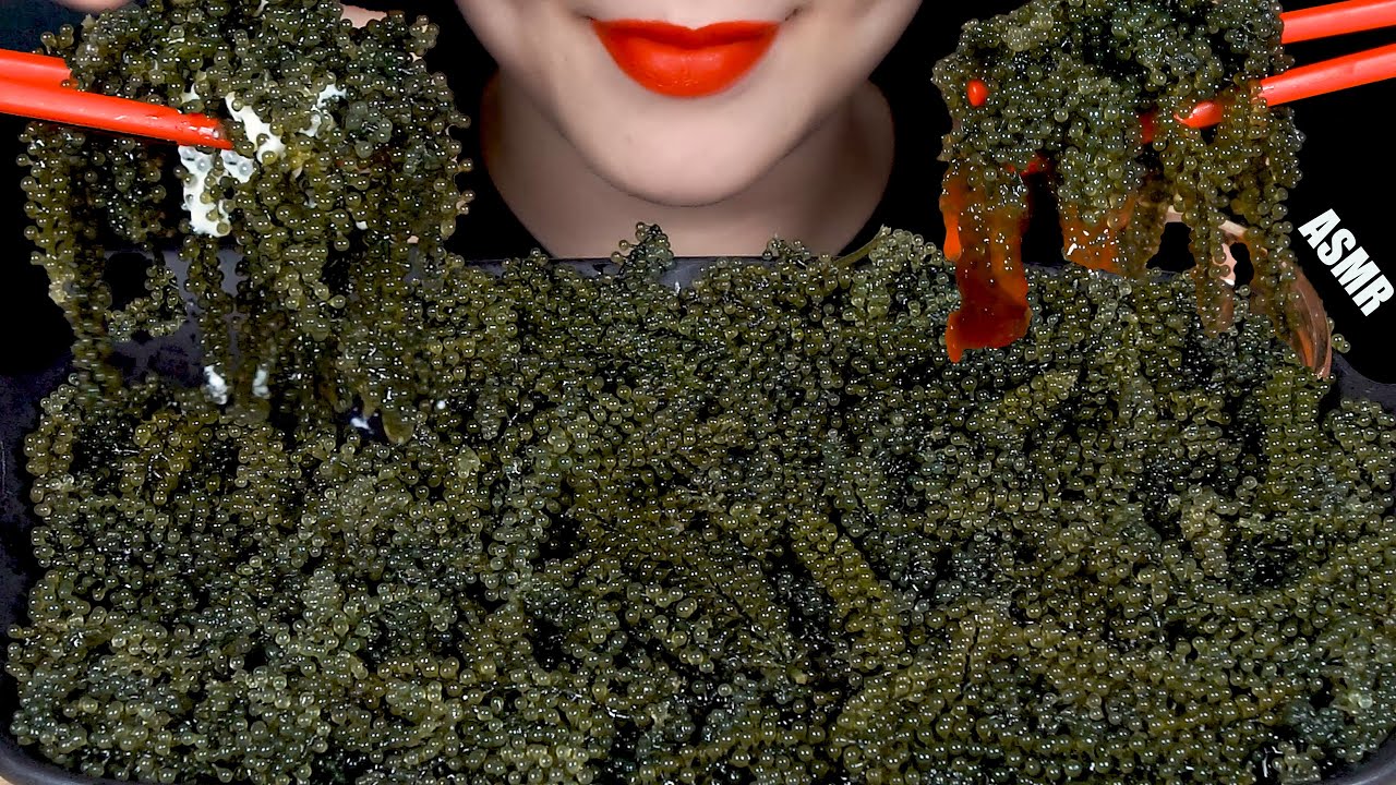 SEA GRAPES MUKBANG 바다포도 리얼사운드 먹방 EATING SOUNDS | NO Talking | Soo ASMR
