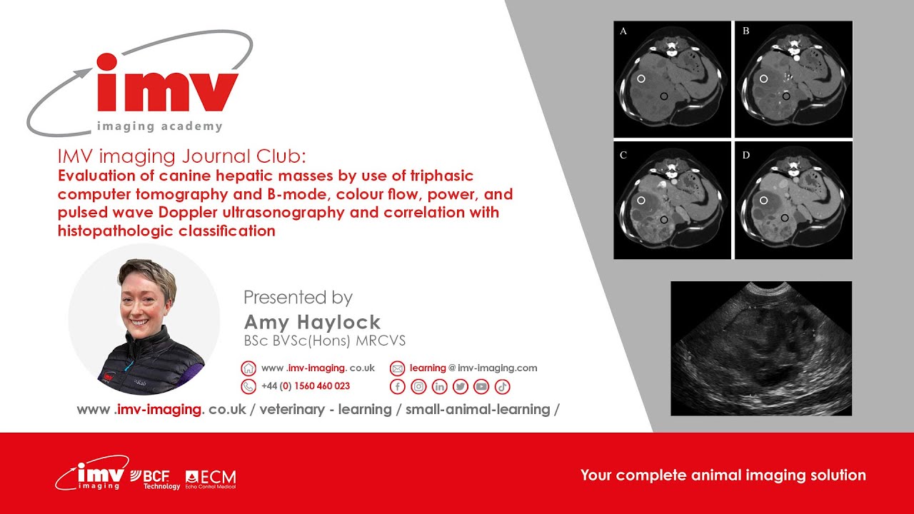 Evaluation of Canine Hepatic Masses