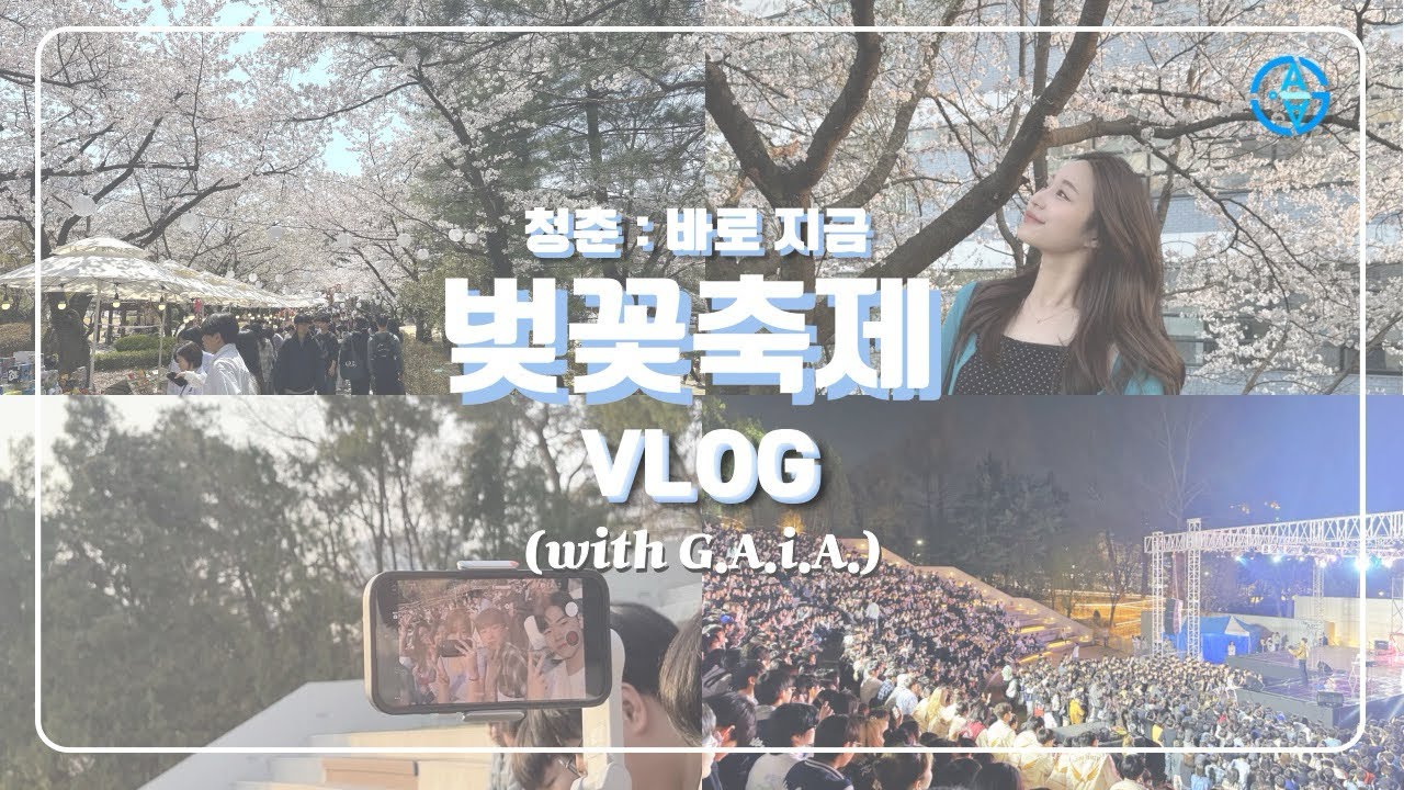 [브이로그] G.A.i.A.와 함께 즐기는 벚꽃축제 | 아주대학교 벚꽃축제 브이로그✨🤍