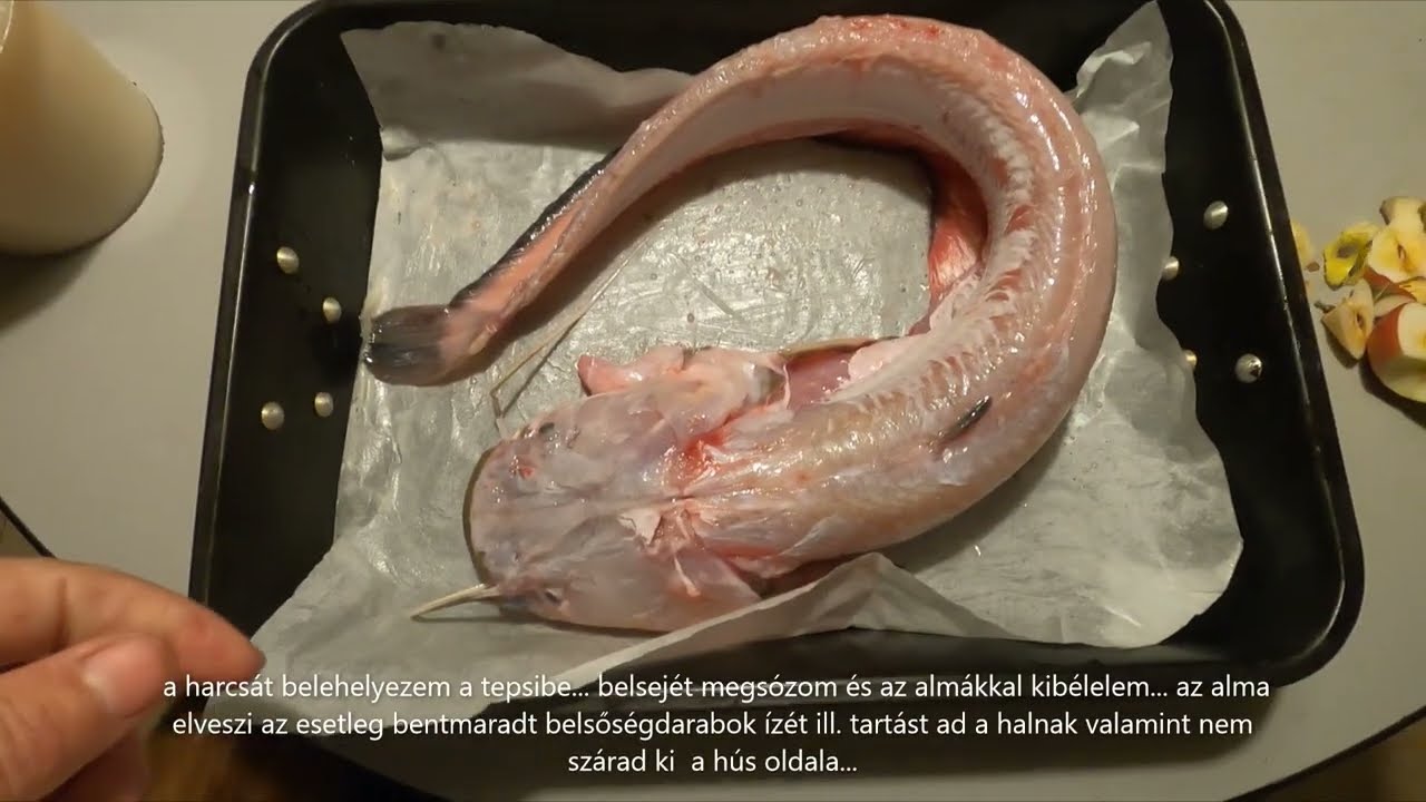 Egészben sült harcsa - ahogy én szeretem...- horgászat Kirillel 12.19