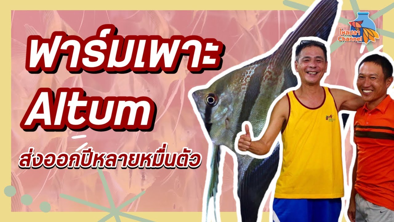ฟาร์มเพาะ Altum ส่งออกปีละหลายหมื่นตัว