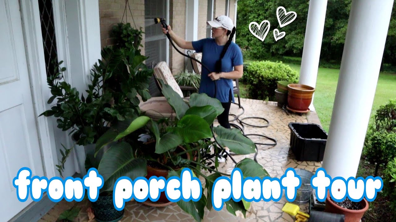 HOUSEPLANT TOUR FRONT PORCH 🌿The good, the bad & the ugly plants