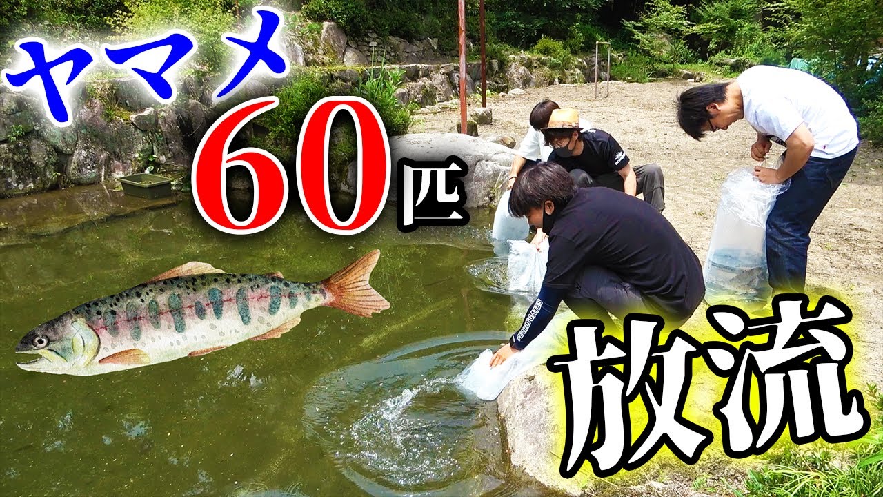 【山復興＃18】蘇った池に大量のヤマメを放流して釣りしてみた！