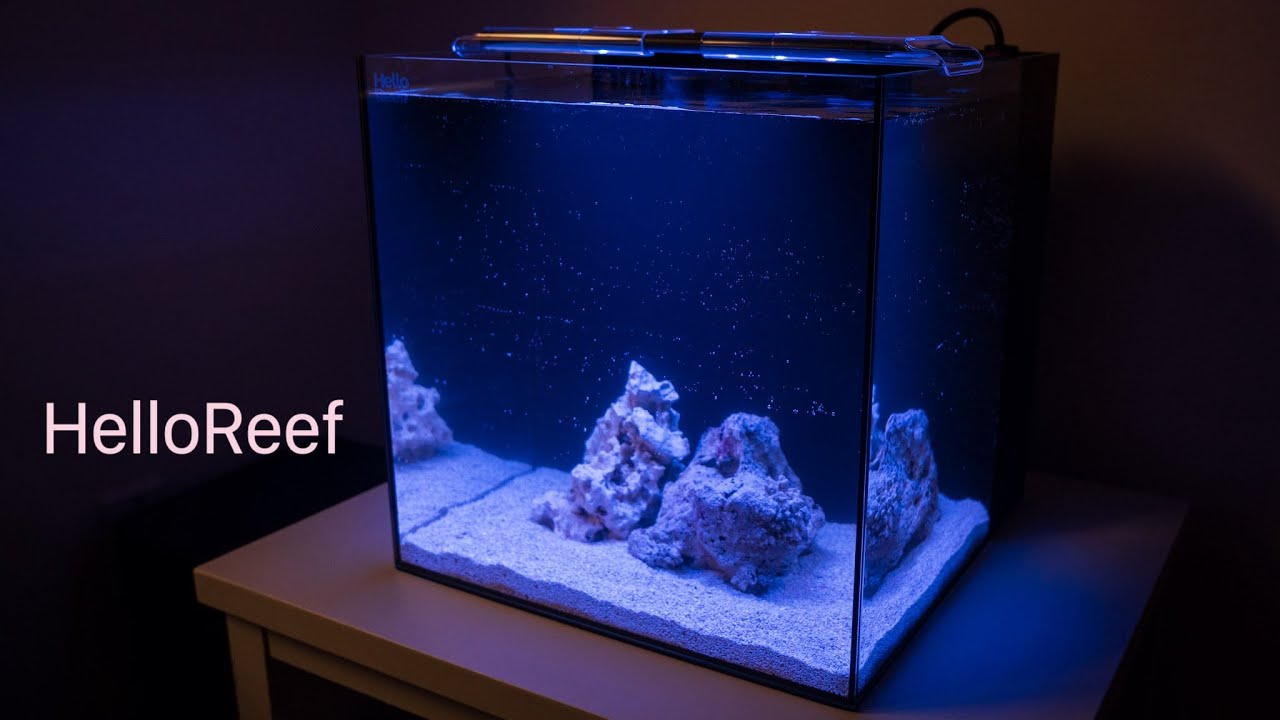 Back To The Basics - Setting Up A Nano Reef