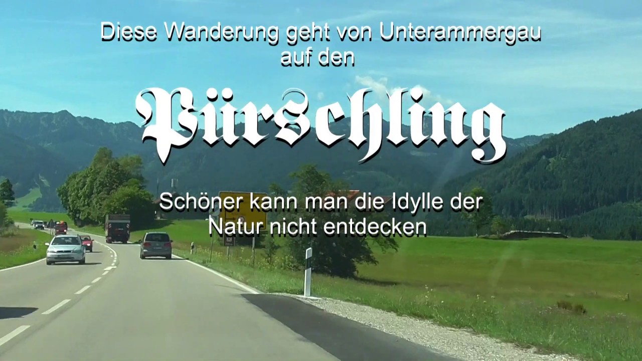 P&uuml;rschling - Ammergebirge - Oberbayern