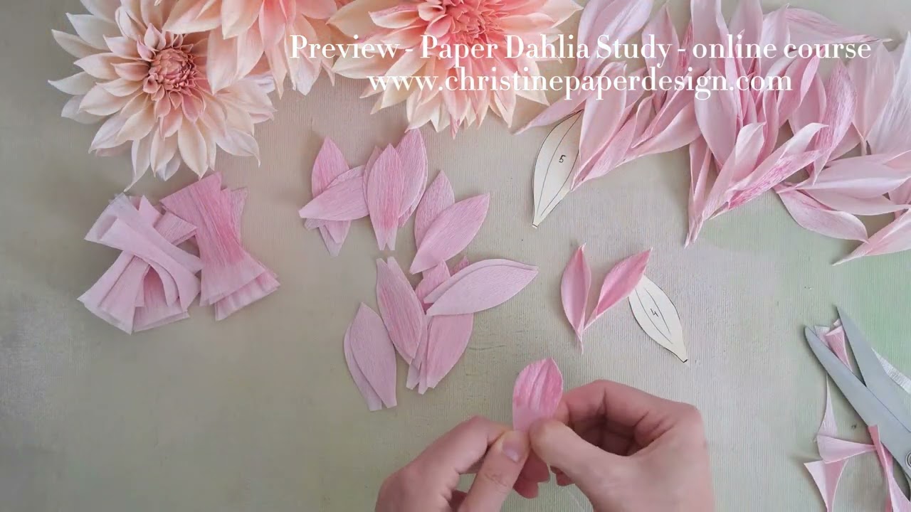 Paper Dahlia Study - Creative Process *  online course preview!