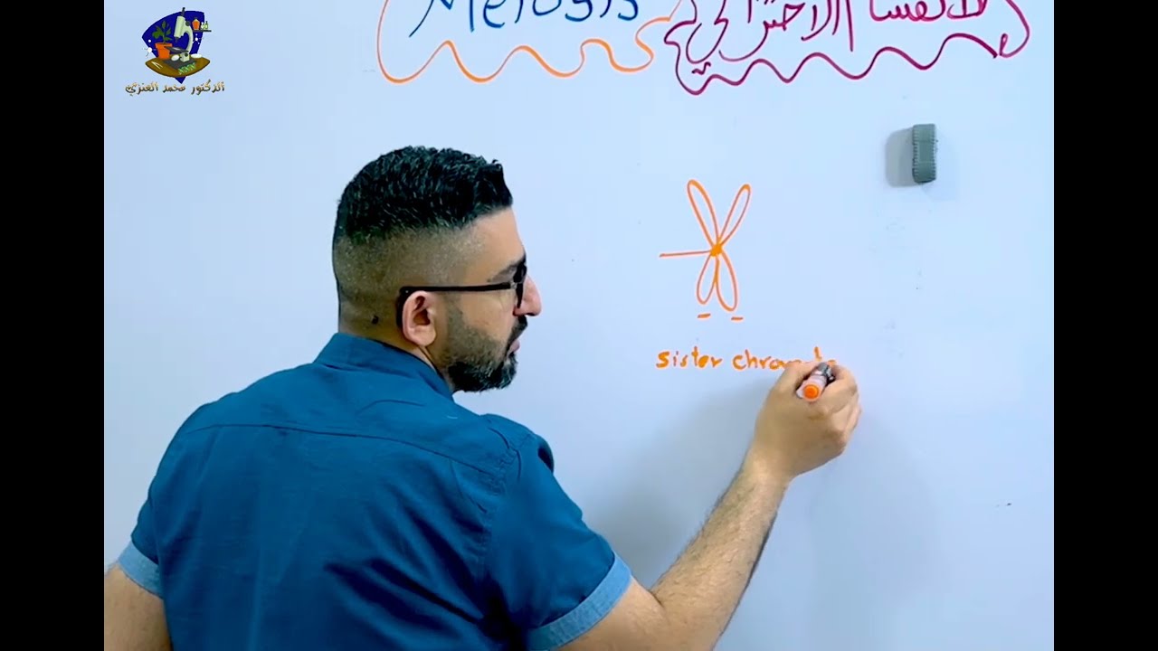 Meiosis 1