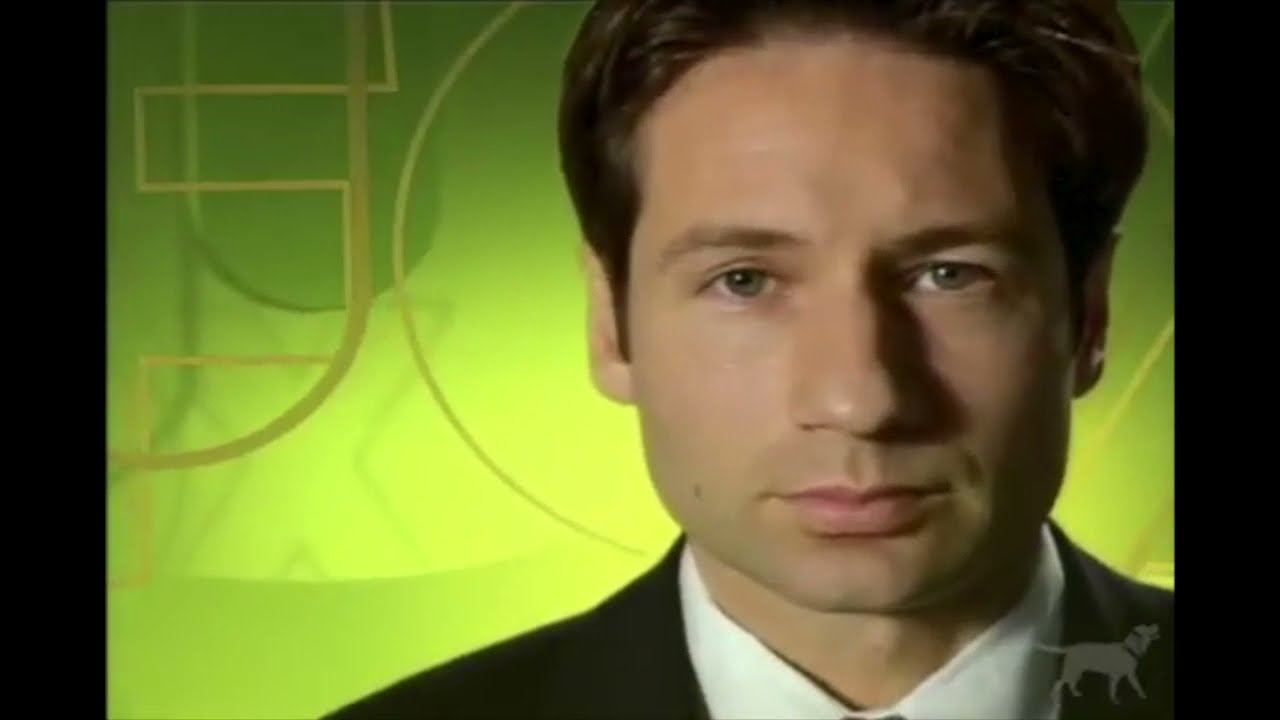 xfiles bumpers