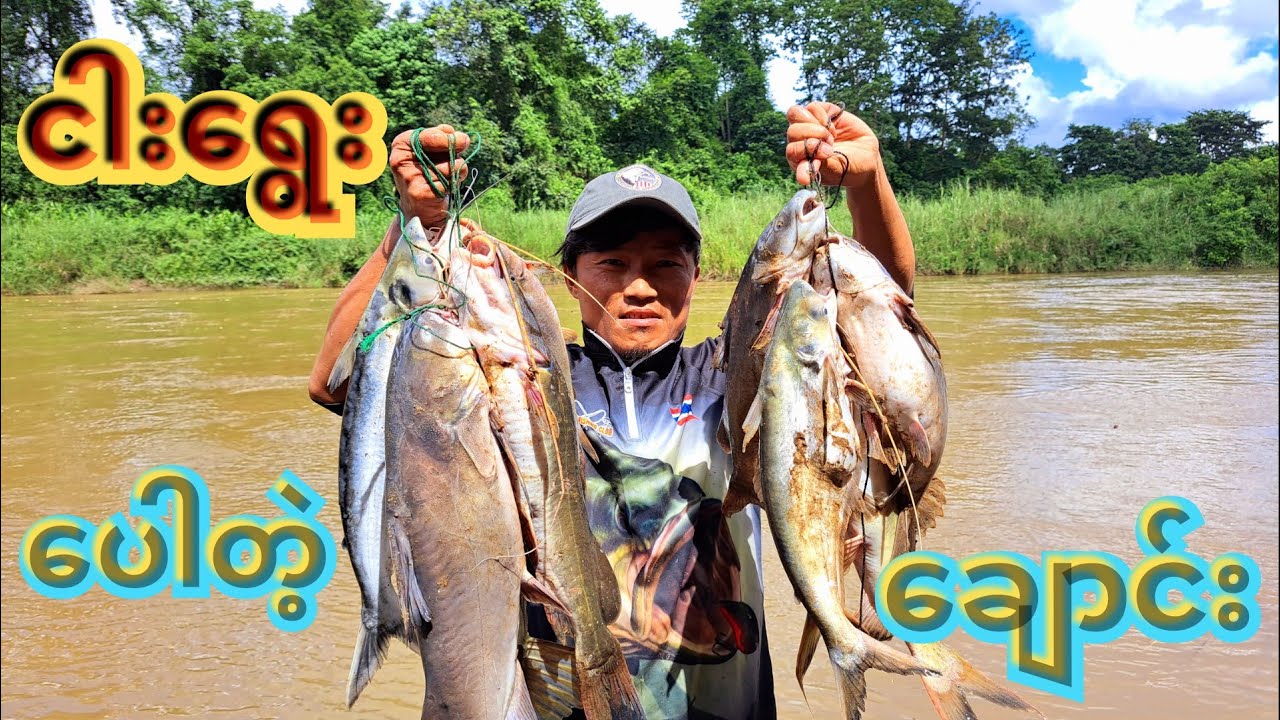 Fishing Catfish #catfish