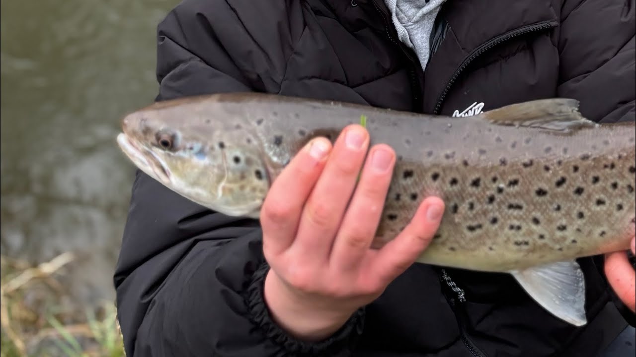 JEST DRUGA! Tego rozpoczęcia szybko nie zapomnę 