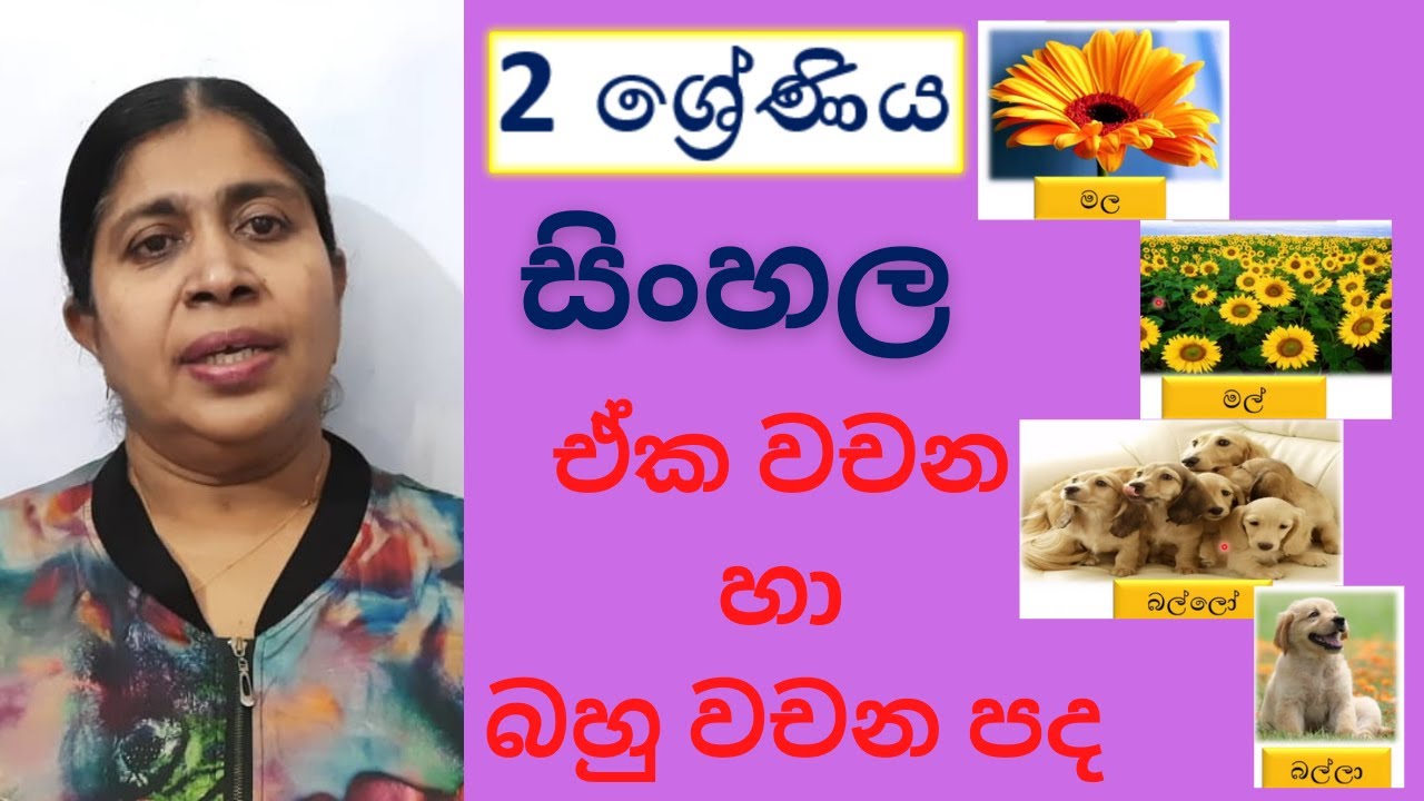 GRADE 2 SINHALA | 2 ශ්‍රේණිය සිංහල - ඒක වචන හා බහු වචන පද - Jagathi Teacher