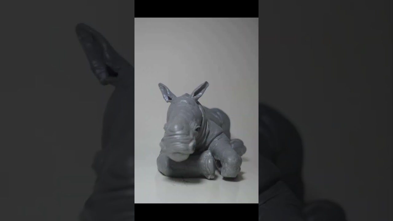 BABY WHITE RHINO. #shorts #rhino