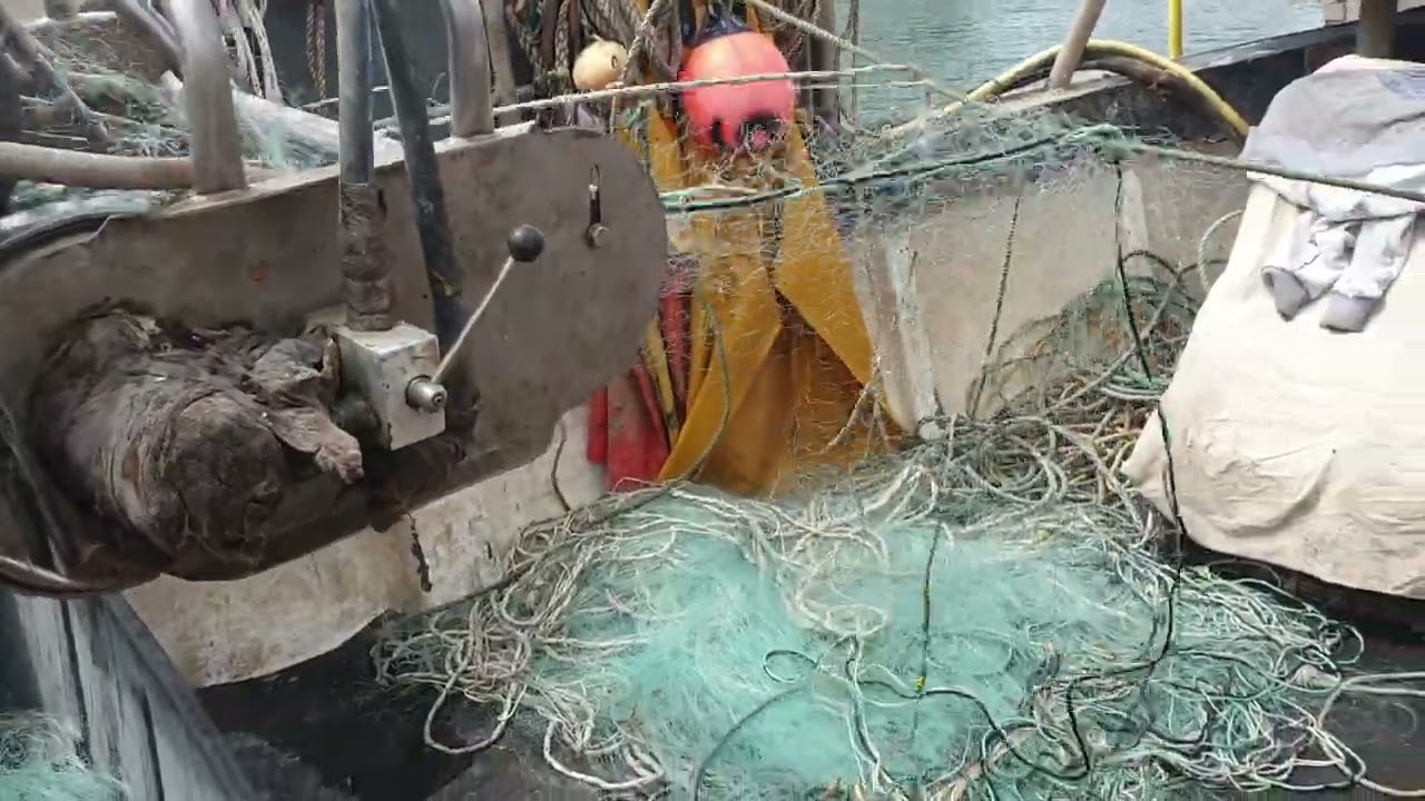 maydem mini net flaker