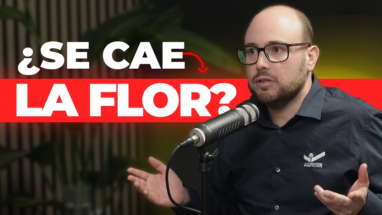BIOESTIMULACIÓN AGRÍCOLA: CÓMO evitar la CAÍDA de FLOR y el ESTRÉS en el CULTIVO | Agrolife Podcast