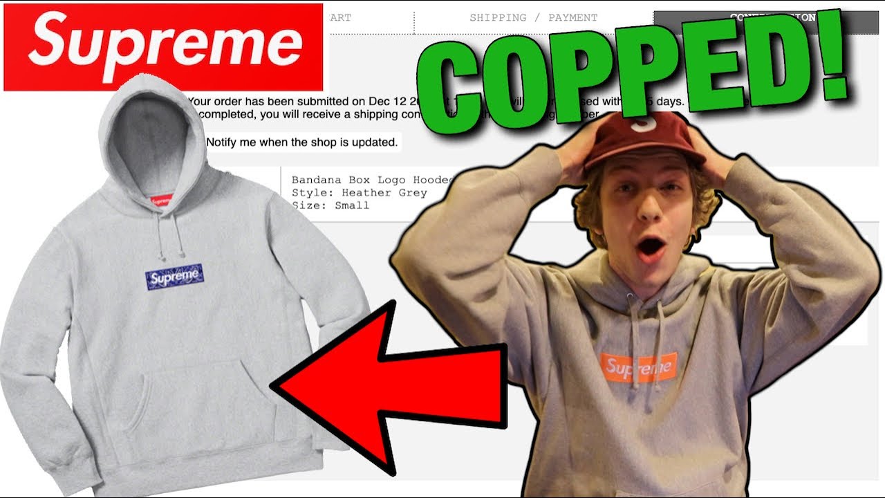 MY BEST COP EVER! Supreme Box Logo Hoodie Live Cop! (F/W '19)