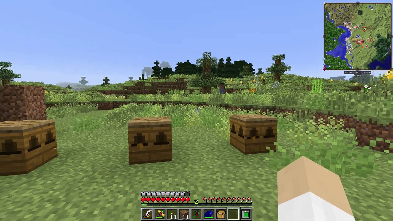 Minecraft - Infinity Evolved Expert Mode - Building, Farming, Bees