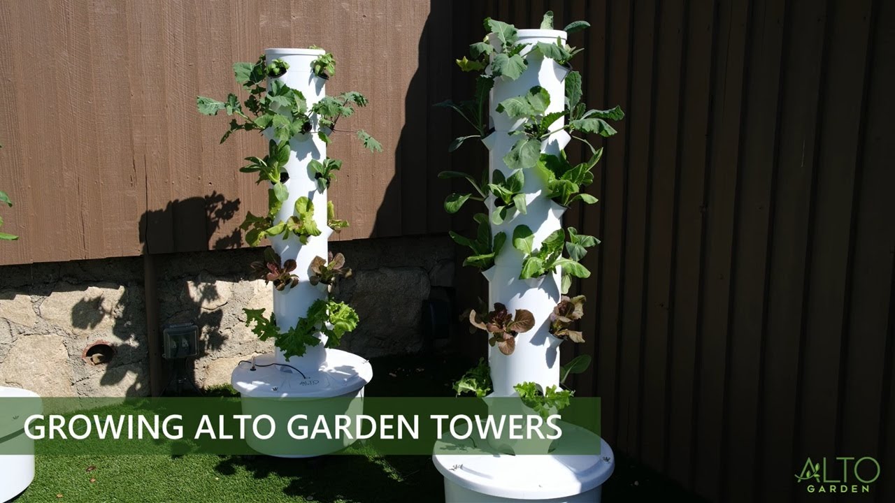 Growing ALTO Garden Towers