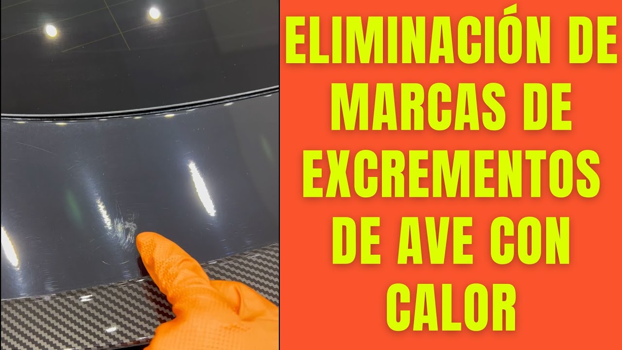 ¡Cómo Eliminar Marcas de Excrementos de Ave con Sólo Calor!
