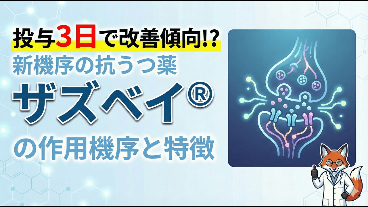 【図解で解説】ザズベイカプセルの作用機序と注意点｜なぜ「単剤」推奨・「夕食後」必須なのか？